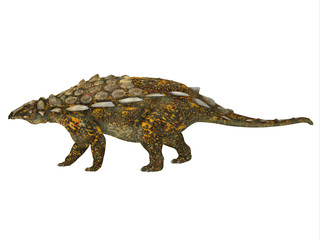 Gargoyleosaurus Side Profile - Gargoyleosaurus was an Ankylosaurus armored herbivorous dinosaur that lived in the Jurassic Age of Wyoming, North America.
