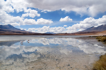 laguna na terenie Altiplano w Boliwii