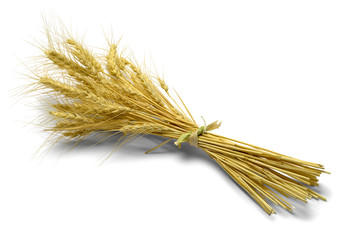 Bundle of Wheat
