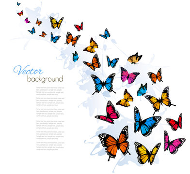 Beautiful background with colorful butterfly. Vector.