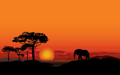 African landscape with animal silhouette. Savanna sunset background