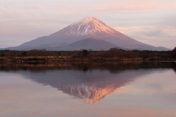 Fototapeta premium 精進湖と富士山