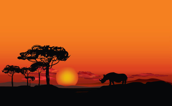 African landscape with animal rhino silhouette. Savanna sunset background