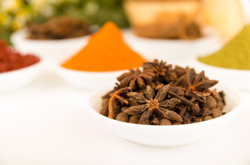 Beautiful delicate colorful display of different spices red orange brown in white bowls, shot from above side angle, plants and bright background