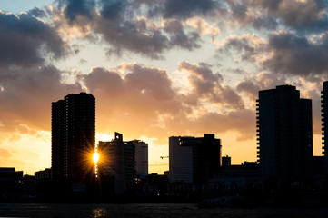 Fototapeta na wymiar Rotterdam Skyline