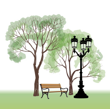 Bench and streetlight in park. Clity liandscape with trees summer garden