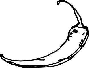 Chili pepper. Vector illustration