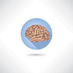 Brain icon