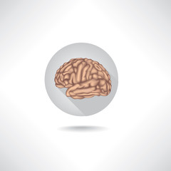 Brain icon