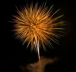 Fototapeta premium Firework