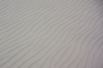 Sand Ripples