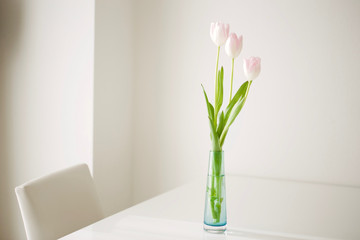 tulips on the table