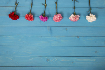 flowers background for valentine day