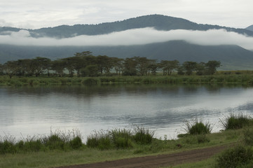 De Safari por Tanzania