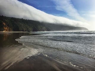 Fog Layer over Cape Lookout State Park