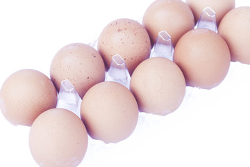 Eggs isolated on white background