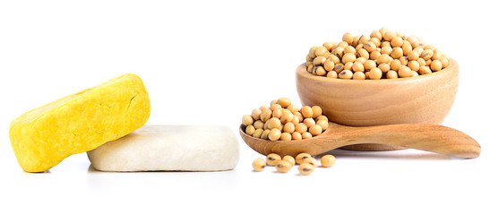 soybeans and tofu cheese isolate on white background.