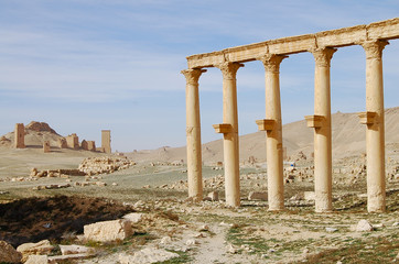 Fototapeta premium Palmyra Ruins - Syria (Before Civil War)