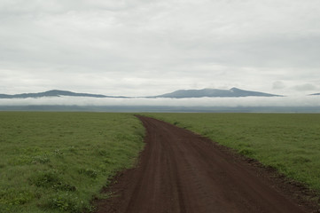 Fototapeta premium De Safari por Tanzania