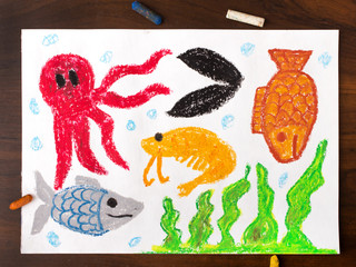 colorful drawing: miscellaneous types of creatures of the sea
