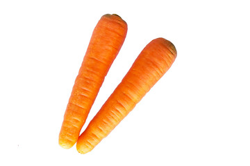 Fresh carrots on the white background.