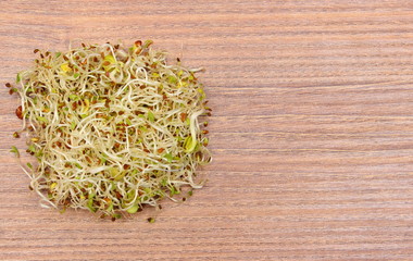 Alfalfa and radish sprouts on wooden table