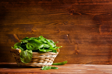 Leaves of fresh spinach