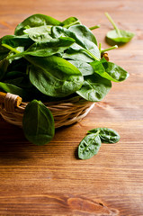 Leaves of fresh spinach