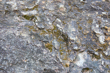 rock with moss texture and background