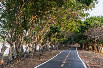 road in the park