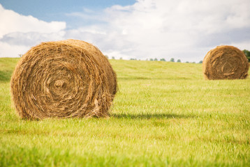 Haystacks and Sunshine © Stacy
