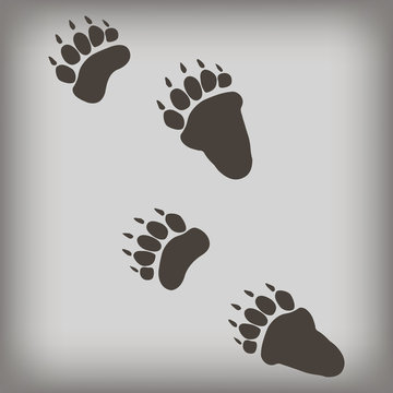 Bear footprint. Vector illustration. 