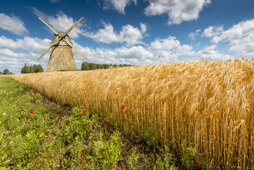 Countryside landscape with filed ripening rye and windmill, Europe. Image illustrates ecologically clean production of food and energy 