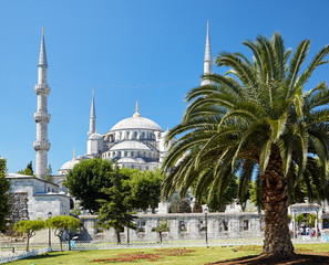 Naklejka premium Sultan Ahmed Mosque (Blue Mosque), Istanbul