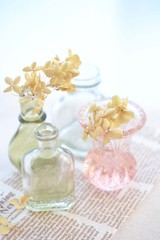 ガラス瓶とドライフラワー