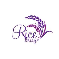 Rice berry Vector