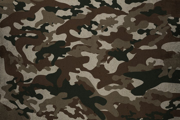 Military Camouflage texture background