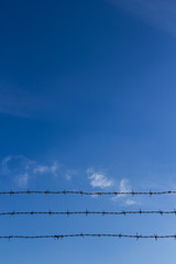 Barbed wire and blue sky with clouds