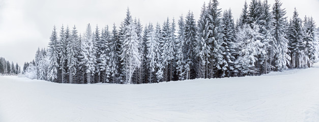 Naklejka premium mountain landscapes and panoramas of snow-capped mountain peaks