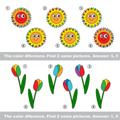 Visual game. Find hidden pair of Suns and Tulips