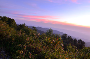 nature landscape