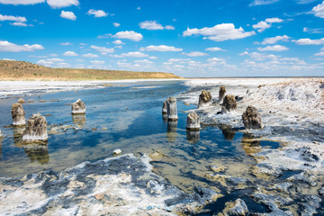 In the vicinity of the salt lake Baskunchak.