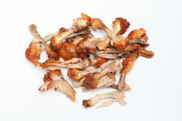 gnawed chicken bones