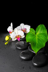 beautiful spa concept of blooming white and red orchid flower, p