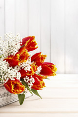 Beautiful orange tulips and Gypsophila paniculata (Baby's-breath