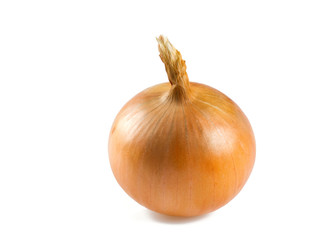 gold onion bulb