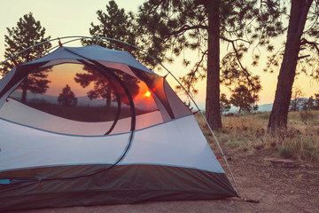 Tent in the forest