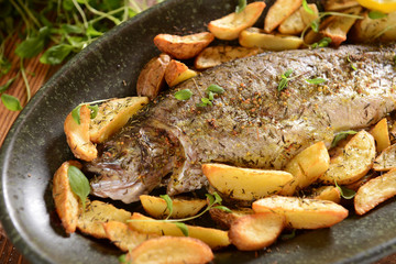 Roasted trout with potatoes in thyme