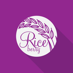 Rice berry Vector