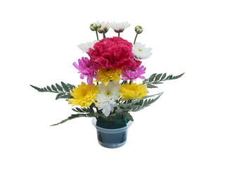 colorful carnation bouquet flower